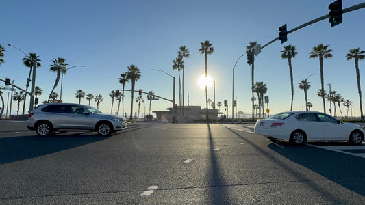 ４月のショップスケジュール