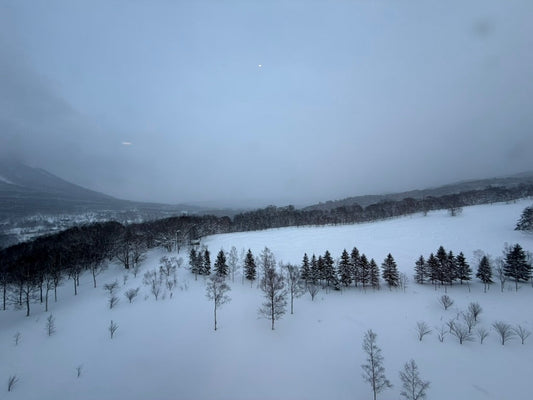 ２月のショップスケジュール