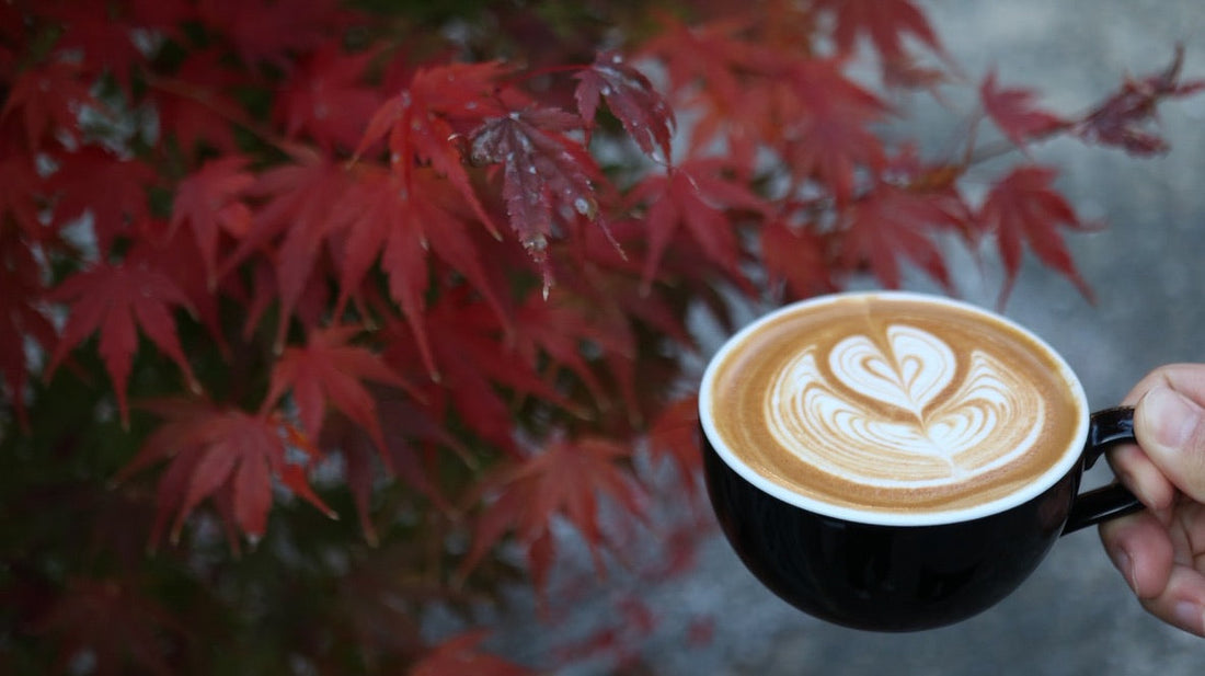 １２月ショップスケジュール