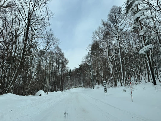３月のショップスケジュール