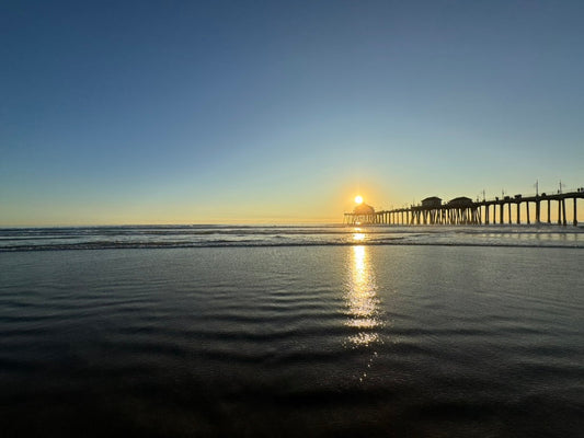 ４月のショップスケジュール